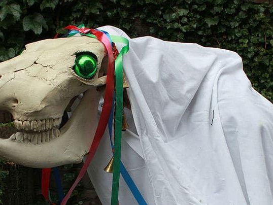 mari-lwyd-cheval-crane-mort-drap-tradition-noel