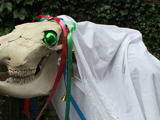 mari-lwyd-cheval-crane-mort-drap-tradition-noel