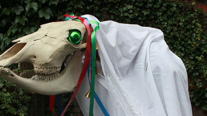 mari-lwyd-cheval-crane-mort-drap-tradition-noel