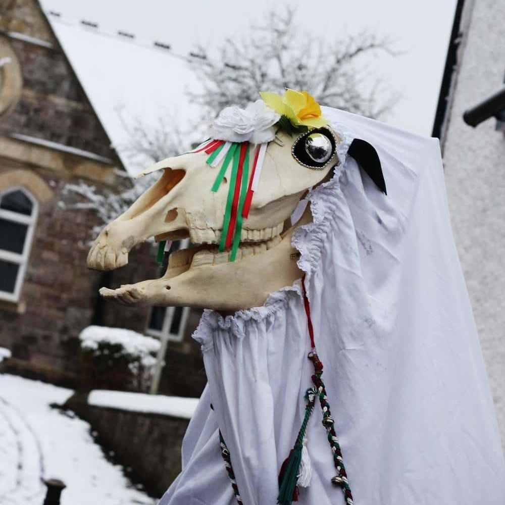 mari-lwyd-cheval-crane-mort-drap-tradition-noel