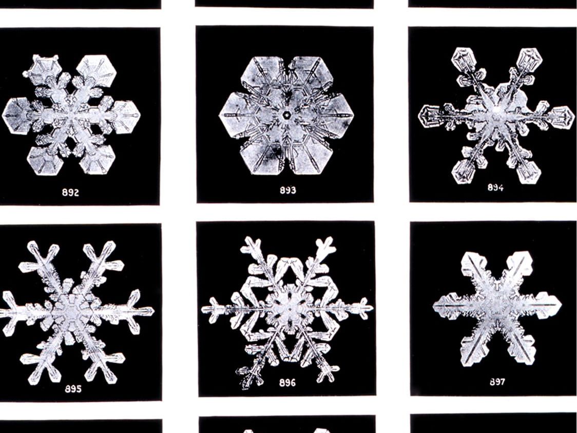 Photographie d'un flocon de neige par Wilson Bentley (1865 - 1931). Fermier américain passionné de photographie, il réalisa plus de 2000 microphotographies de flocons de neige © Carl Hammer Gallery / Wilson Bentley