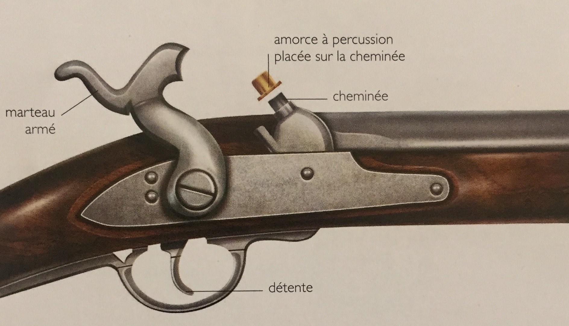 L'histoire des fusils de chasse