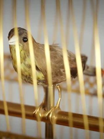 oiseau-chanteur-histoire-automate-jaquet-droz