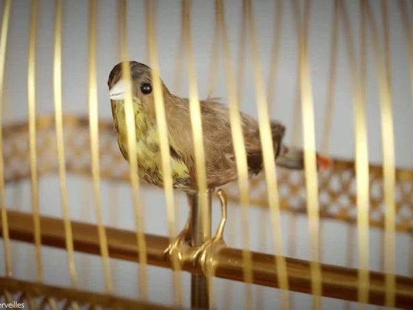 oiseau-chanteur-histoire-automate-jaquet-droz