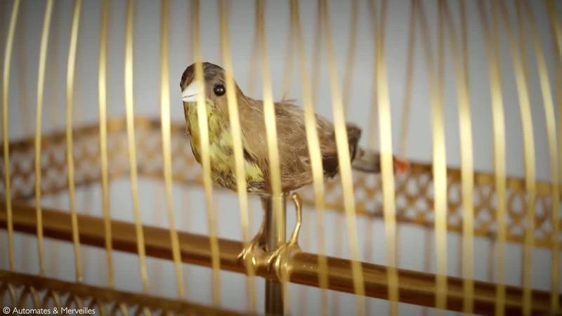 oiseau-chanteur-histoire-automate-jaquet-droz