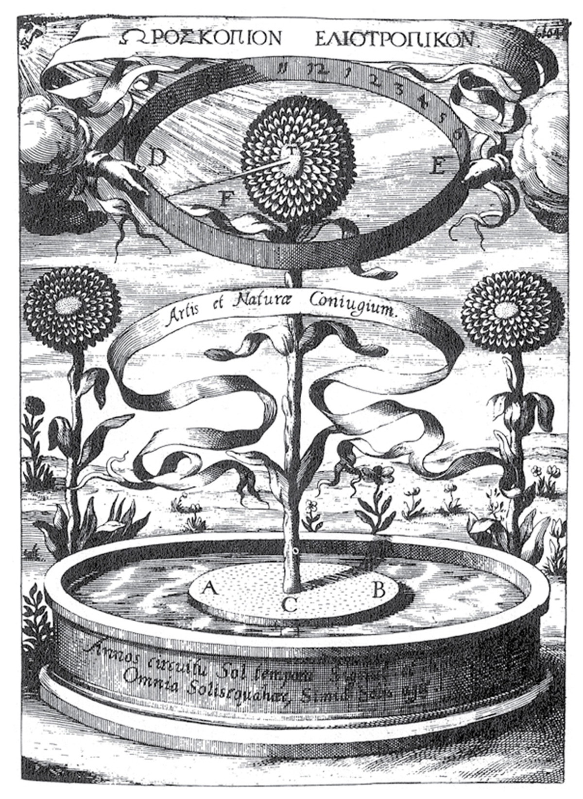 L’horloge tournesol imaginée (et truquée) par Athanasius Kircher